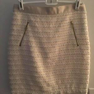 Metalic Skirt